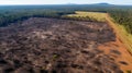 Panoramic aerial view of burn meadow,cut trees in cattle pasture farm rainforest. generative ai