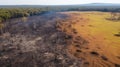 Panoramic aerial view of burn meadow,cut trees in cattle pasture farm rainforest. generative ai
