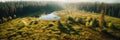 Panoramic aerial view of green meadow and forest with small lake