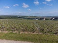 Panoramic aerial view on green premier cru champagne vineyards near village Hautvillers and Marne river valley, Champange, France Royalty Free Stock Photo