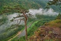 Panoramic aerial view over the top of a summer landscape of a green hills, a large river, and a forest belt at sunset Royalty Free Stock Photo