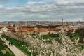Panoramic aerial view of Prague,Czech republic in spring. Blooming sakura cherry trees on Petrin hill. People walking in city park Royalty Free Stock Photo