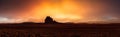 Panoramic American Nature Landscape View of the Dry Desert