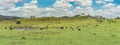 Panoramic Australian Rural Landscape