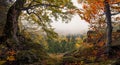 Panoramic Autumn Forest Landscape With View Of Mountain Misty Valley And Colorful Autumn Forest. Enchanted Autumn Foggy Forest Wi