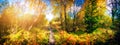 Panoramic autumn landscape with country path Royalty Free Stock Photo