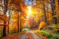 Panoramic autumn landscape with forest path Royalty Free Stock Photo