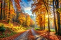 Panoramic autumn landscape with forest path Royalty Free Stock Photo