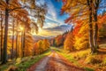 Panoramic autumn landscape with forest path Royalty Free Stock Photo