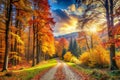 Panoramic Autumn Landscape with Forest Path Royalty Free Stock Photo