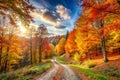 Panoramic Autumn Landscape with Forest Path Royalty Free Stock Photo