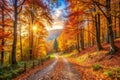 Panoramic Autumn Landscape with Forest Path Royalty Free Stock Photo
