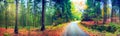 Panoramic autumn landscape with forest road. Fall nature background Royalty Free Stock Photo