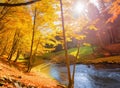 Panoramic autumn landscape with forest stream Royalty Free Stock Photo