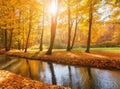 Panoramic autumn landscape with forest stream Royalty Free Stock Photo