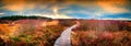Panoramic autumn landscape with wooden path. Fall nature background Royalty Free Stock Photo