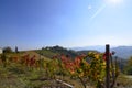 Panoramic autumn view of the Monferrato, Calosso