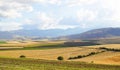 Panoramic background of beautiful yellow-green fields Royalty Free Stock Photo