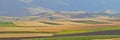 Panoramic background of beautiful yellow-green fields Royalty Free Stock Photo