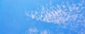 Panoramic background of a blue sky with white spots from clouds