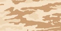 Panoramic background texture military khaki sand camouflage - Vector