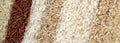 Panoramic banner with eight different varieties of rice. The texture of grains of rice