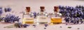 Panoramic banner or header with essential oil bottles and lavender flowers Royalty Free Stock Photo