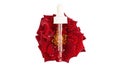 panoramic banner. skin care concept. pipette with transparent serum on a red rose in drops.