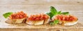 Panoramic banner of tasty Italian bruschetta Royalty Free Stock Photo