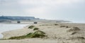 Panoramic Barrinha of Esmoriz, National Reserve in Espinho, Portugal Royalty Free Stock Photo