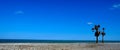 Panoramic beach and two palm trees with the horizon in the background Royalty Free Stock Photo