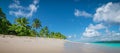 Panoramic beach view with palm trees on Caribbean Island. Royalty Free Stock Photo