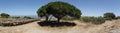 Panoramic of Beach Vista, Sanlucar de Barrameda