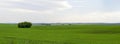 Panoramic beautiful green field