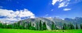 Beautiful mountain view of Sonamarg mountain, Jammu and Kashmir state, India Royalty Free Stock Photo