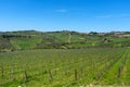 Panoramic beautiful view of Radda in Chianti and vineyards and olive trees in the Chianti region, Tuscany, Italy. Royalty Free Stock Photo