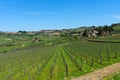 Panoramic beautiful view of Radda in Chianti and vineyards and olive trees in the Chianti region, Tuscany, Italy. Royalty Free Stock Photo