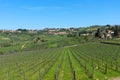 Panoramic beautiful view of residential areas Radda in Chianti and vineyards and olive trees in the Chianti region, Tuscany, Italy Royalty Free Stock Photo