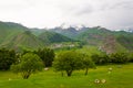 Panoramic beautiful view of the Stepantsminda village in the mountains. Georgia Royalty Free Stock Photo