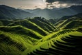 Panoramic Beauty of Longji Rice Terraces