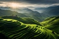 Panoramic Beauty of Longji Rice Terraces