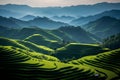 Panoramic Beauty of Longji Rice Terraces