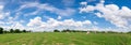 panoramic blue sky clouds with green field landscape for backgr