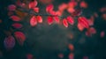 Blurred Autumn Nature background with red leaves