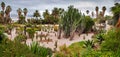 Panoramic of Cactus Park at Montjuic Barcelona