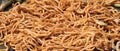 Panoramic closeup of the Japanese Yakisoba fried noodles texture