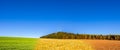 Panoramic collage of spring, summer and autumn field Royalty Free Stock Photo