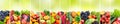 Panoramic collage vegetables and fruits on blurred green background. Royalty Free Stock Photo