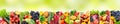 Panoramic collage vegetables and fruits on green background. Royalty Free Stock Photo