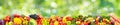 Panoramic collection bright fresh fruits and vegetables on green background